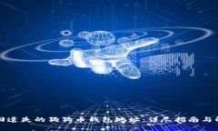 如何找回遗失的狗狗币钱包地址：详尽指南与解