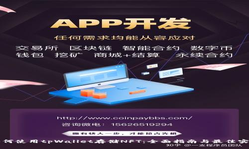 如何使用tpWallet存储NFT：全面指南与最佳实践