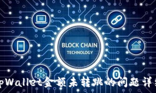   
解决tpWallet金额未转跳的问题详细指南