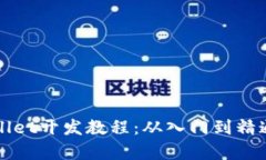 全面解析tpWallet开发教程：从入门到精通的全方位