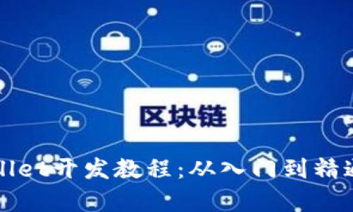 全面解析tpWallet开发教程：从入门到精通的全方位指南