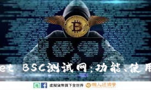 深入探讨tpWallet BSC测试网：功能、使用指南与最佳实践