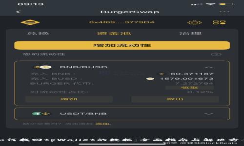 如何找回tpWallet的数据：全面指南与解决方案