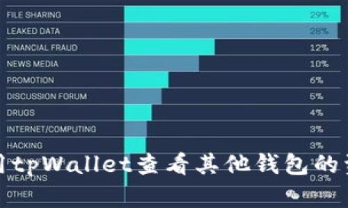 如何使用tpWallet查看其他钱包的资金状况