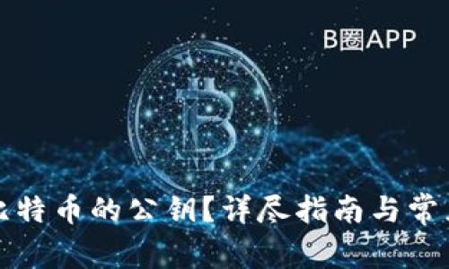 如何查看比特币的公钥？详尽指南与常见问题解答